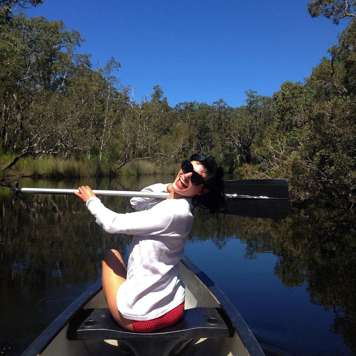 Everglades