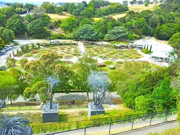 Wellington Botanic Garden