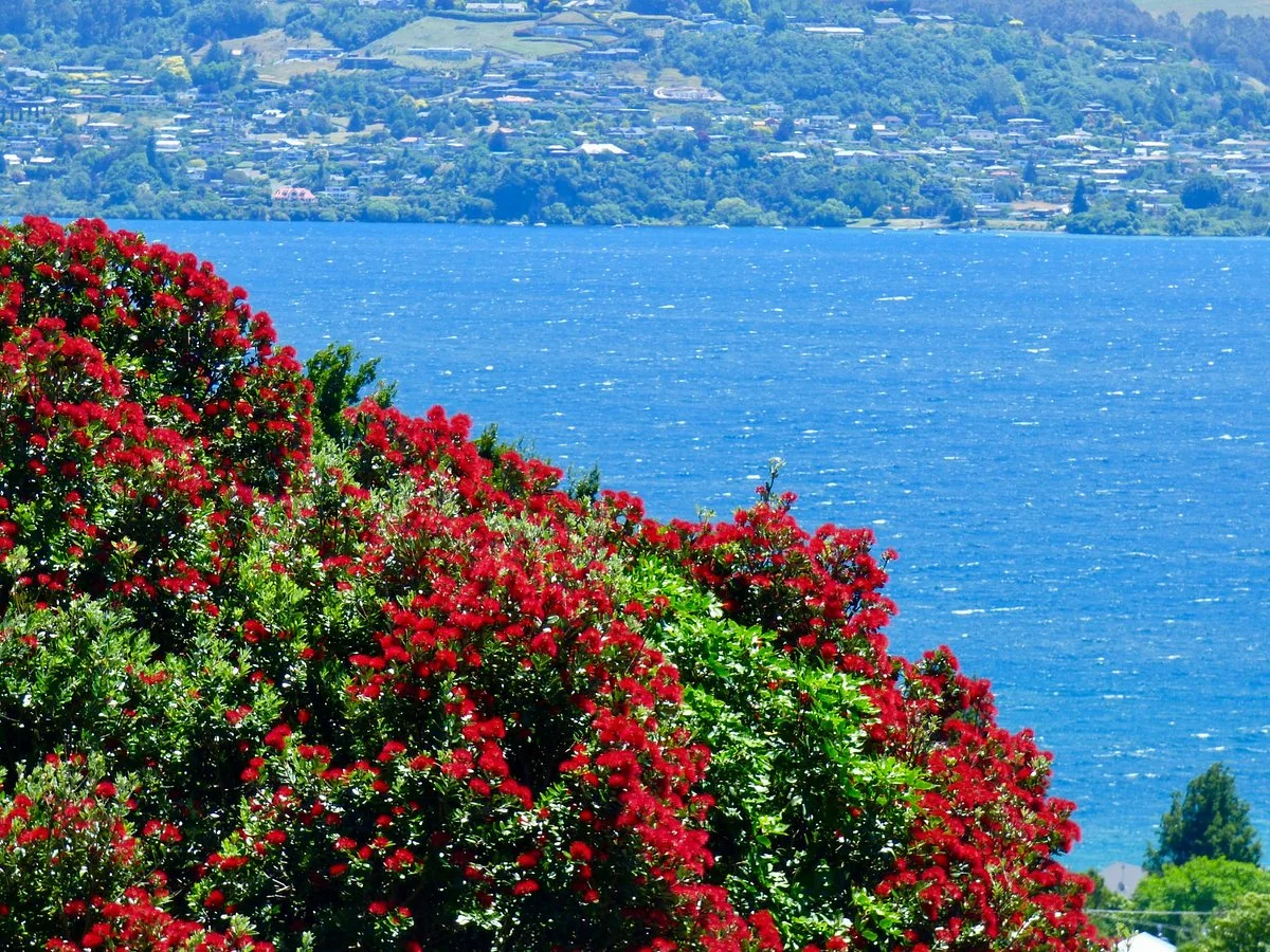 Waipahihi Botanical Gardens