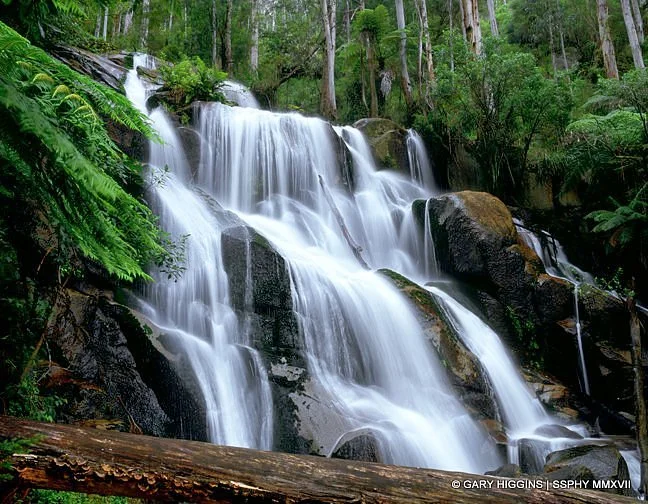 Toorongo Falls