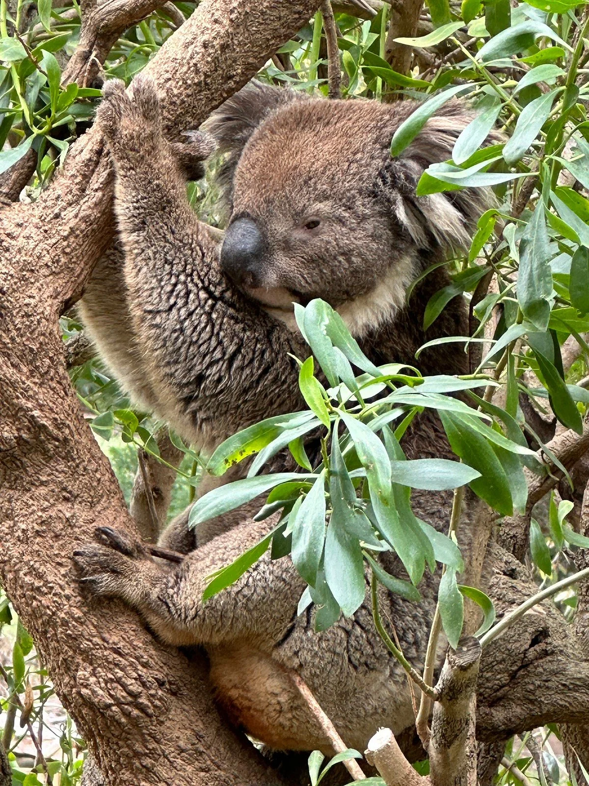 Urimbirra Wildlife Park