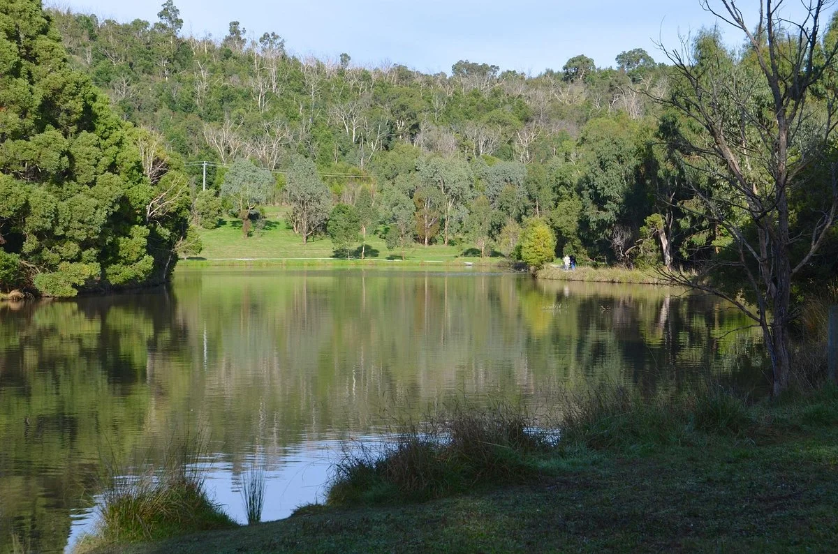 Birdsland Reserve