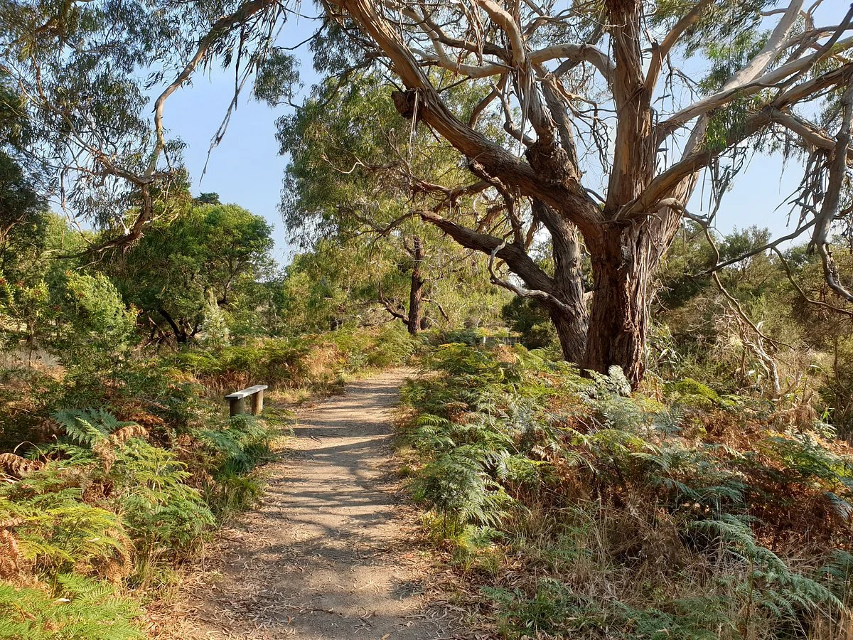 The Briars Park