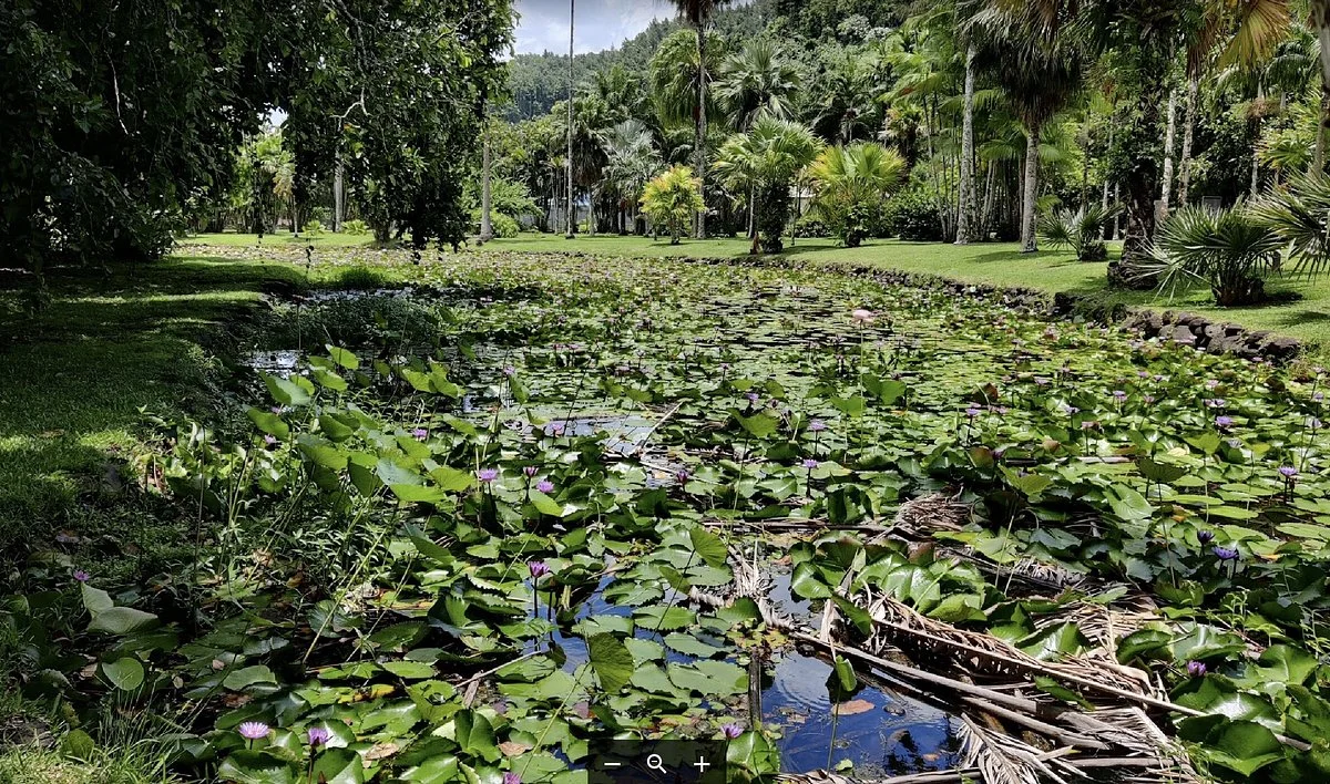Harrison W. Smith Botanical Garden