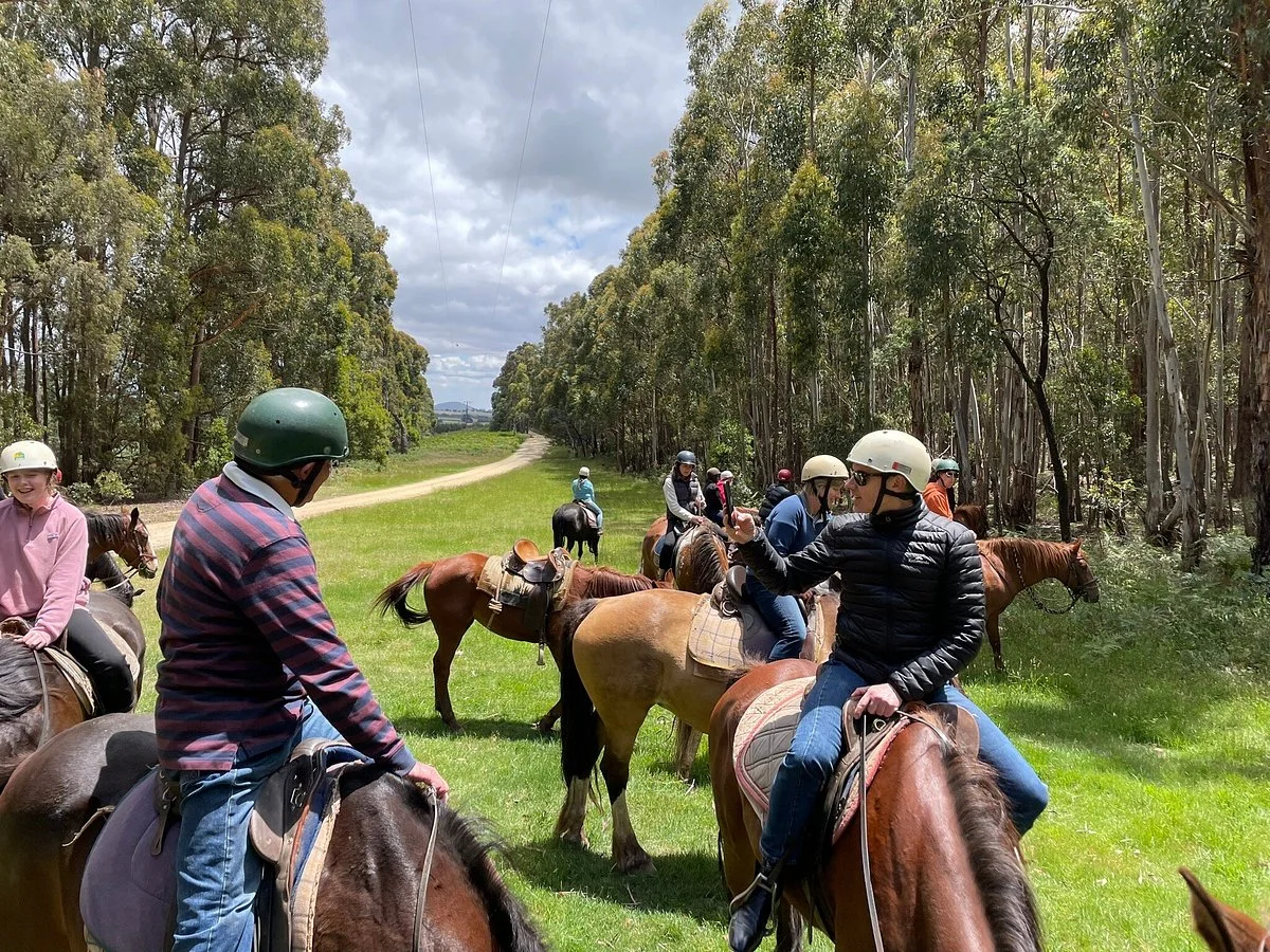 Hepburn Lagoon - Trail Rides