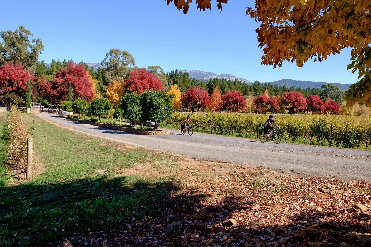 Murray to Mountains Rail Trail