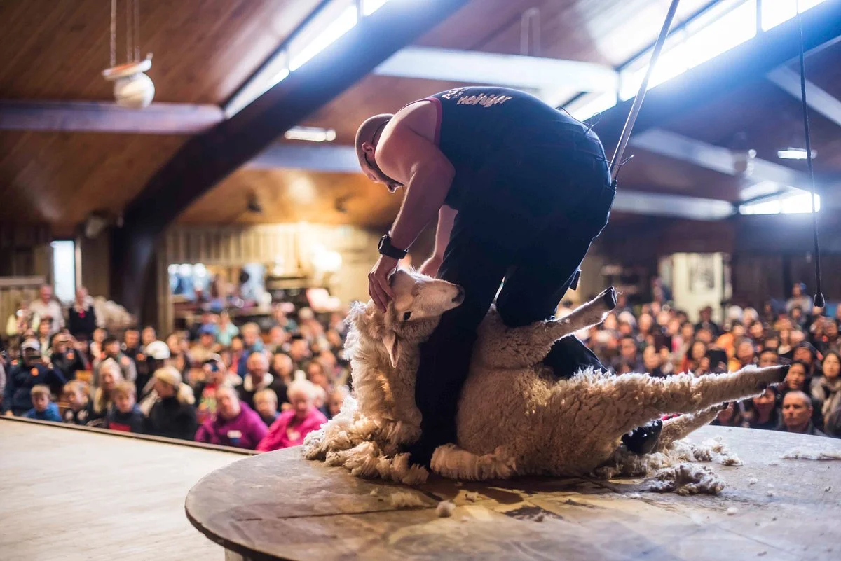 Agrodome