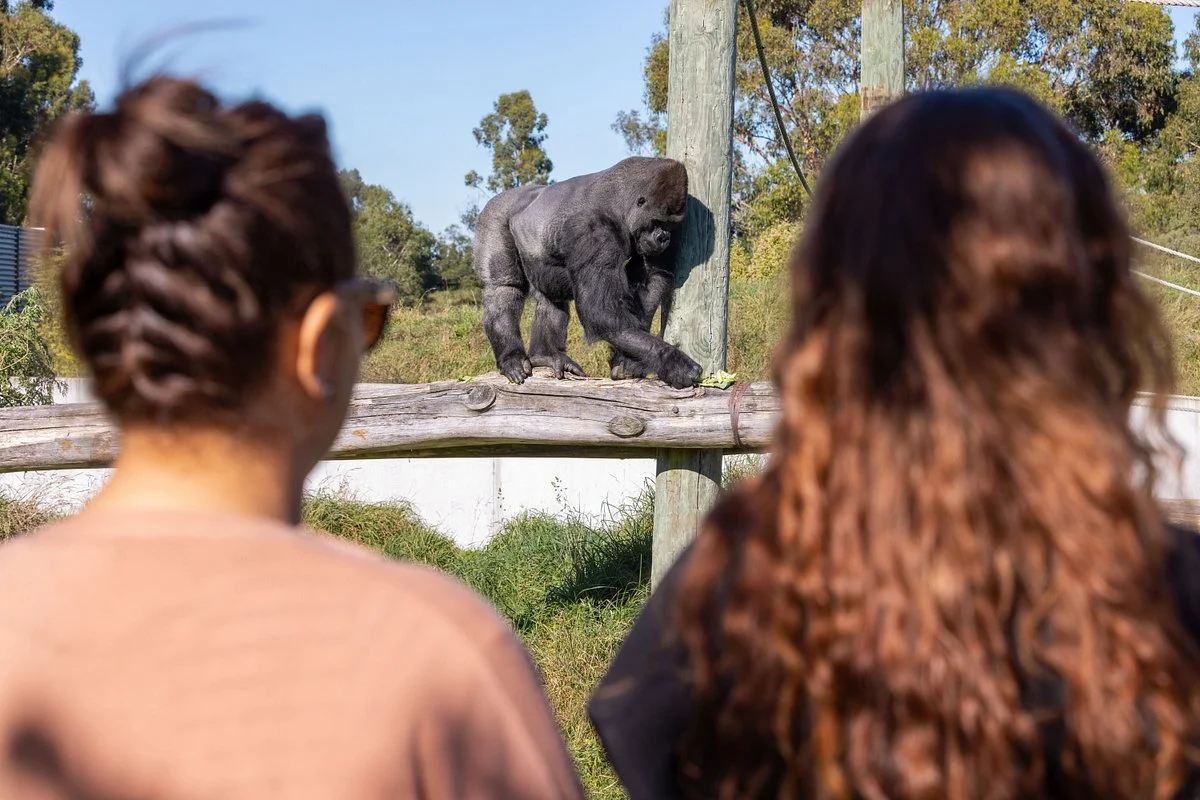 Orana Wildlife Park