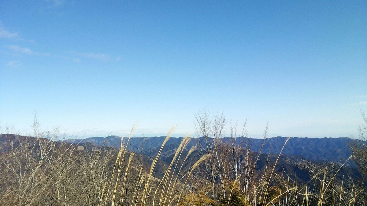 Mt. Warabi
