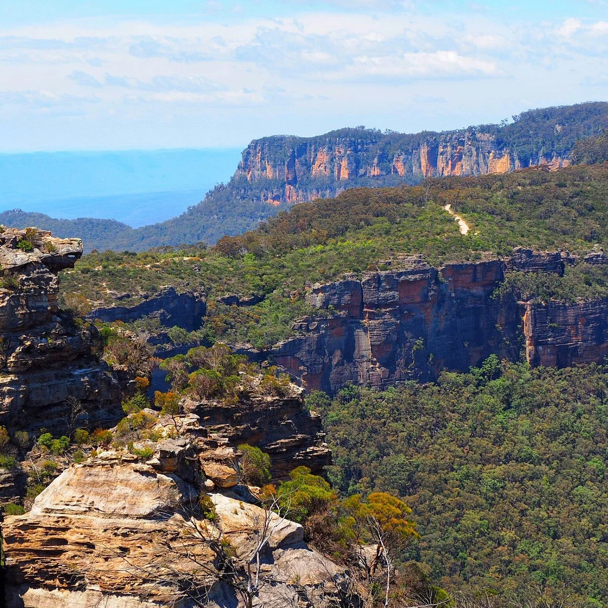 Cahill's Lookout