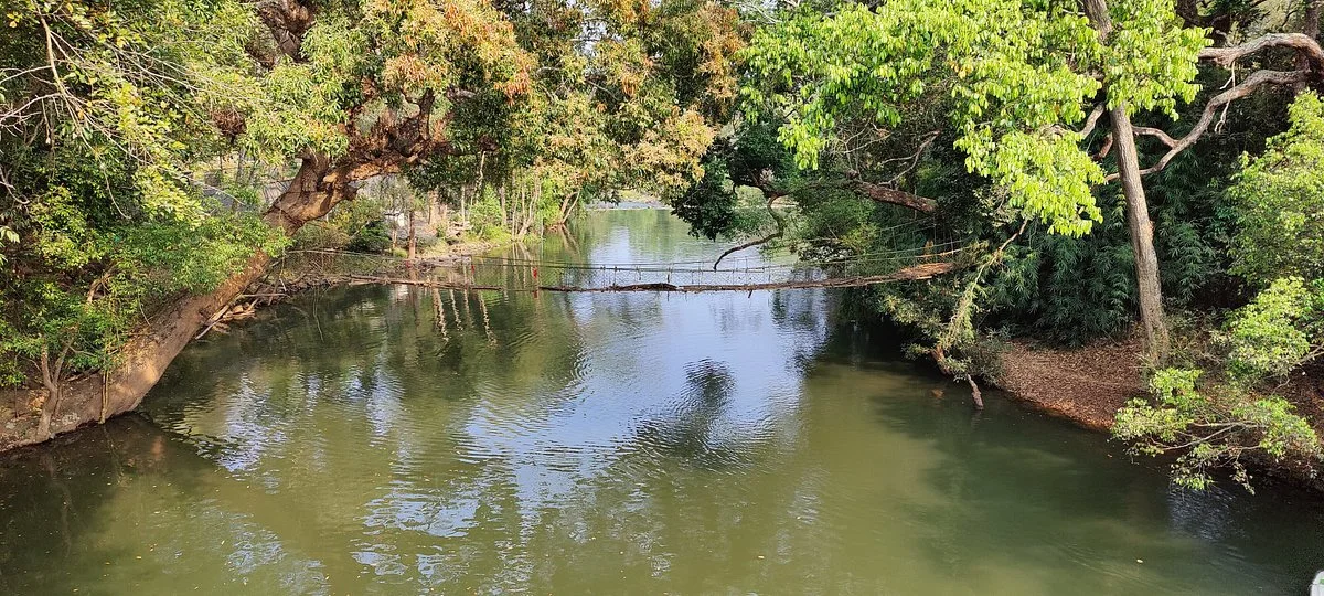 Nisargadhama Forest