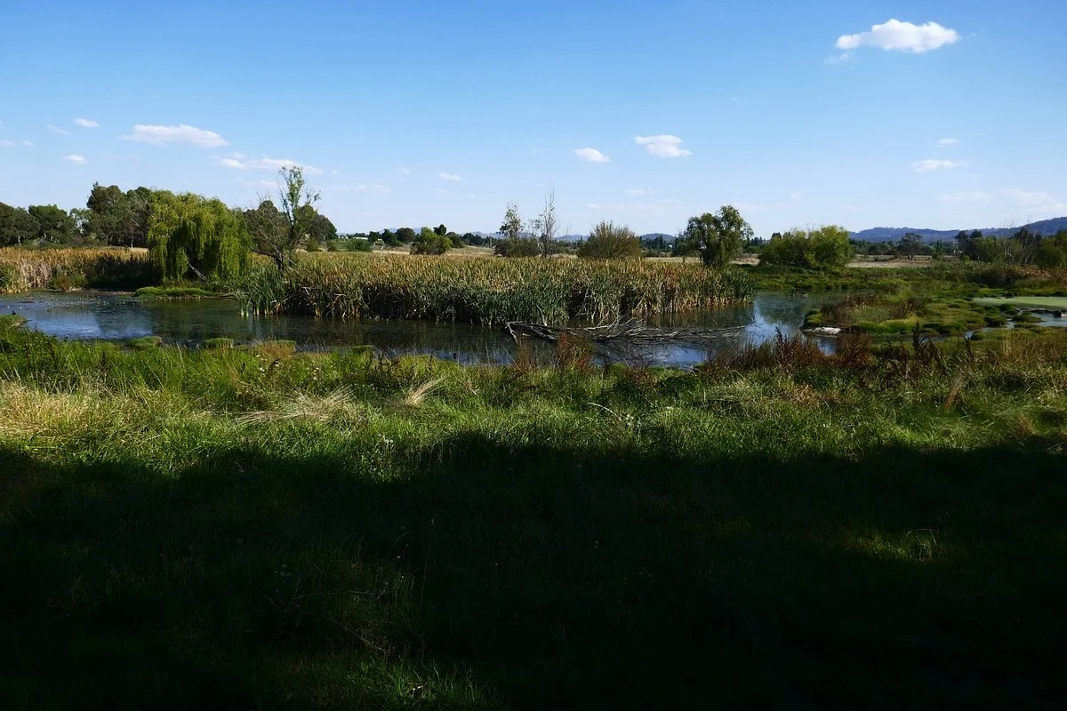 Jerrabomberra Wetland