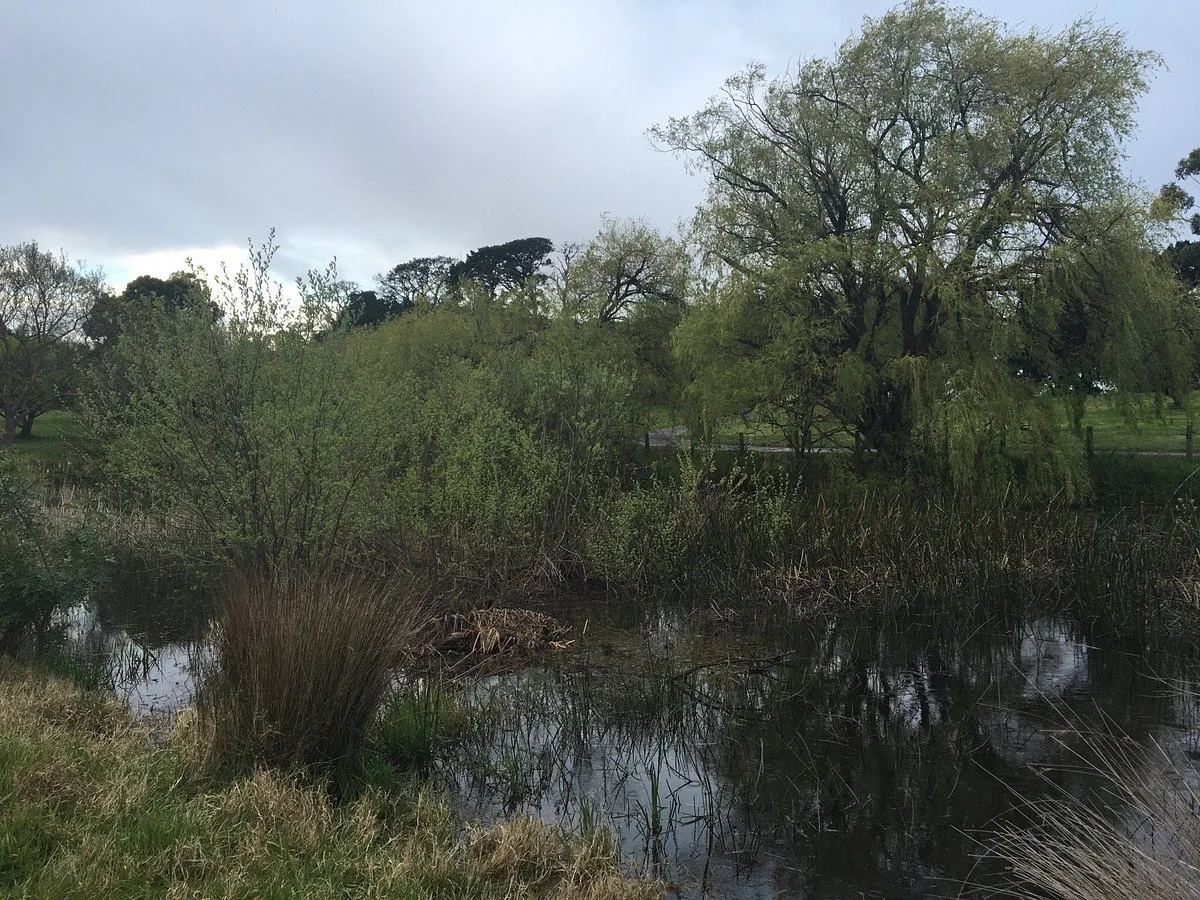 Nortons Park