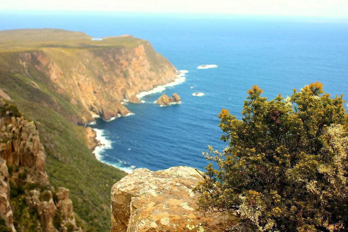 Cape Raoul