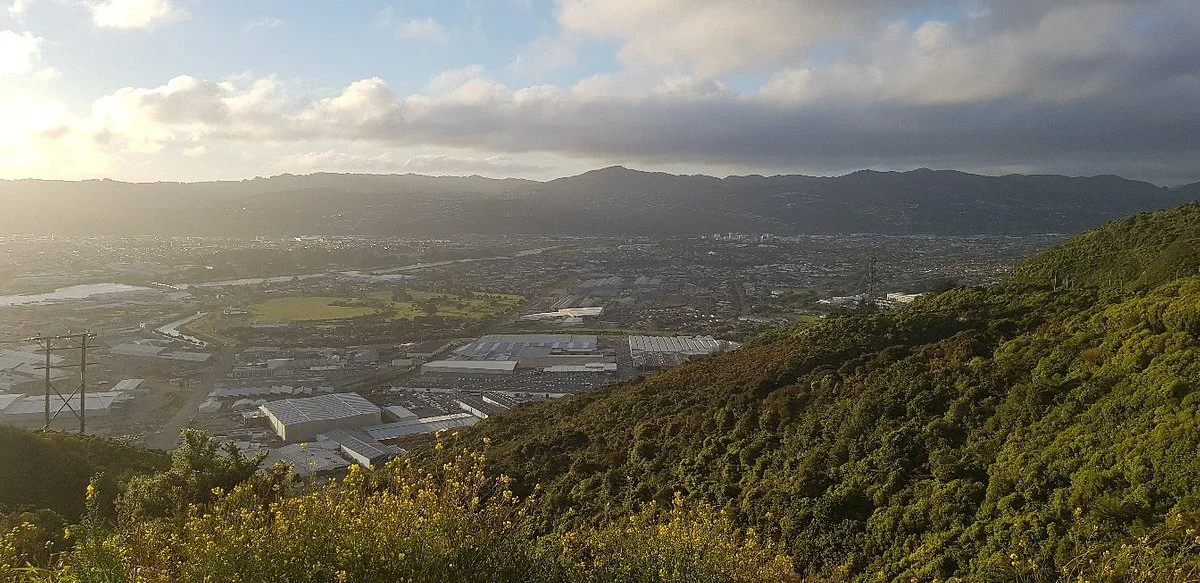 Wainui Lookout