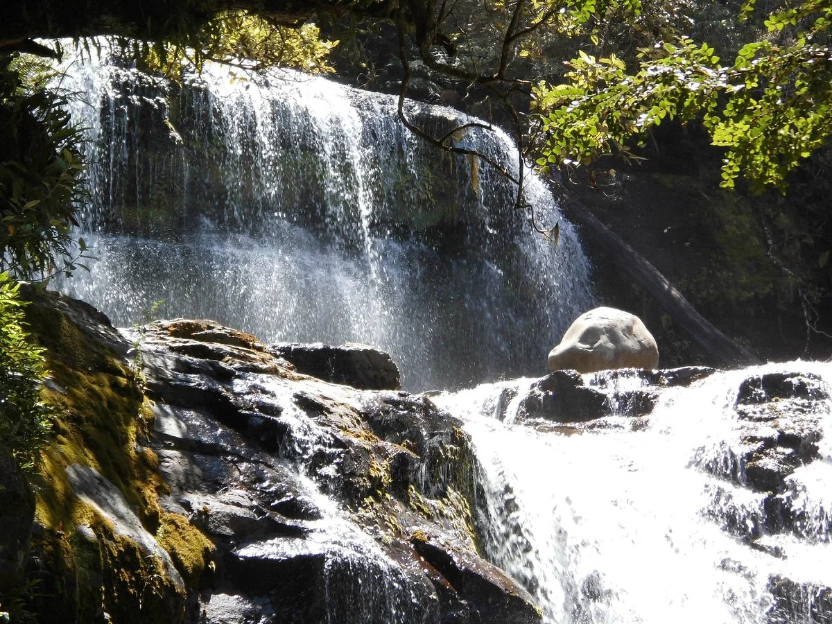 Liffey Falls