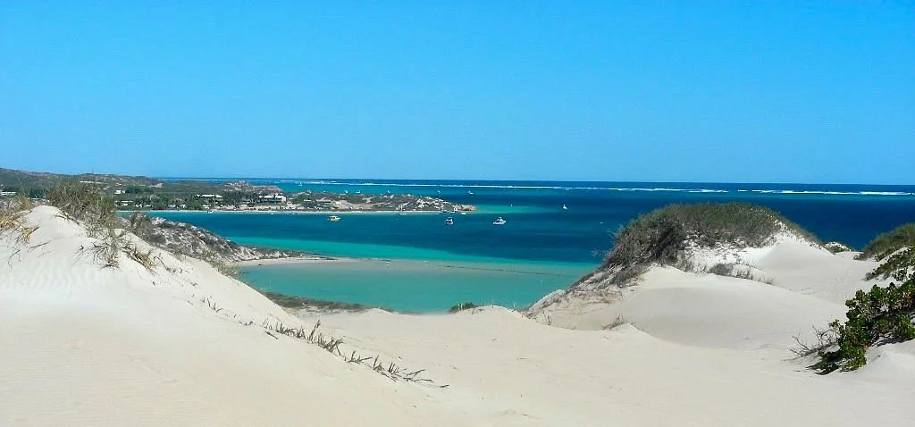 The Coral Bay Shark Nursery