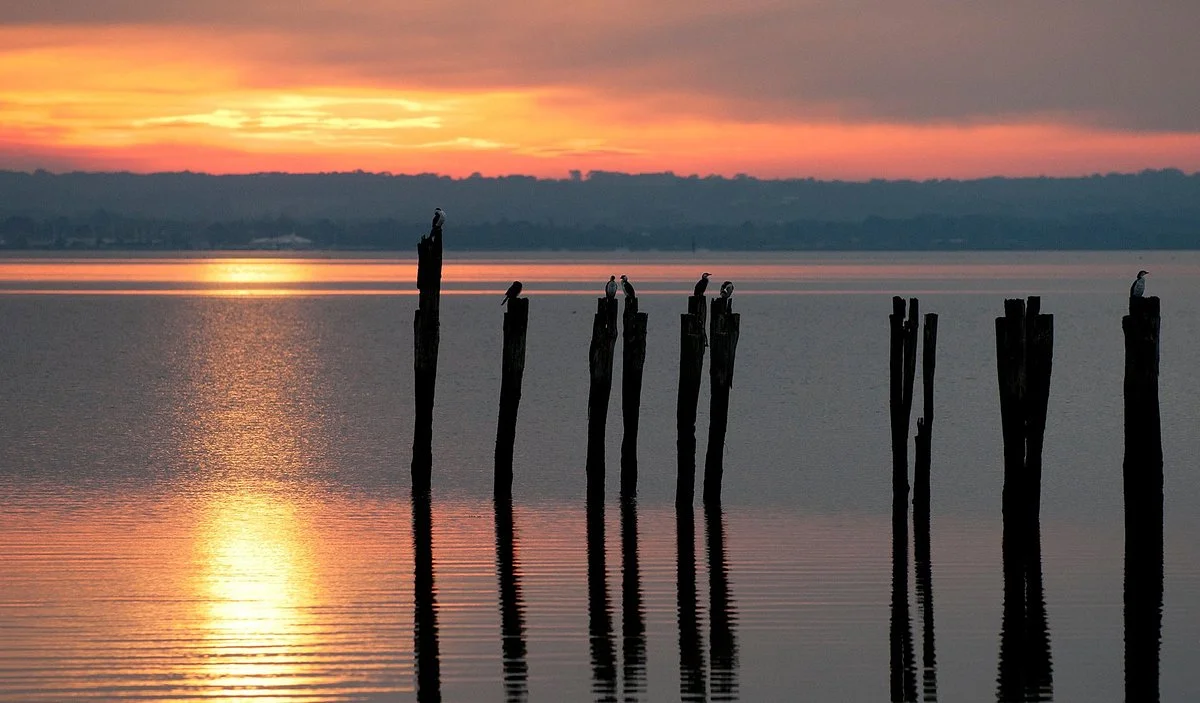 French Island National Park