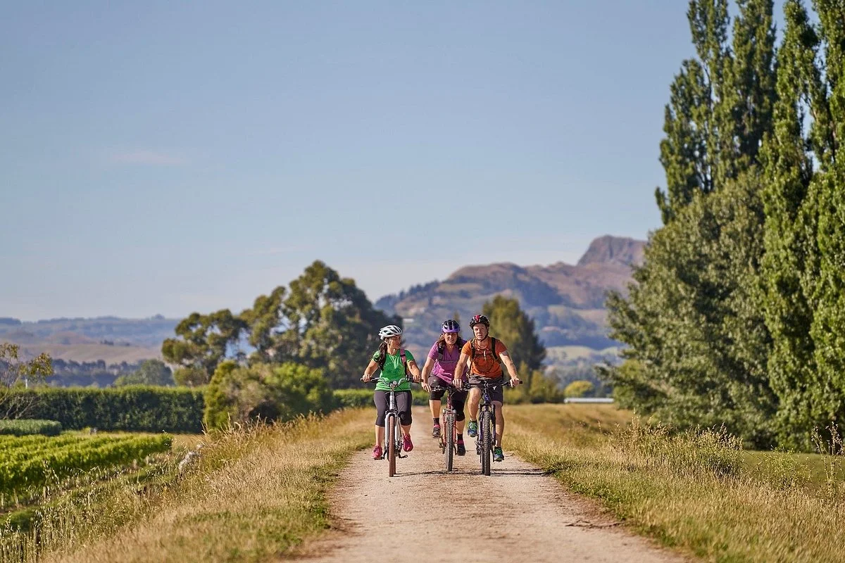 Hawke's Bay Trails