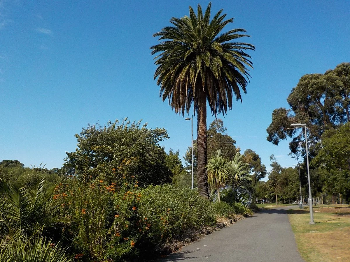 Alma Park