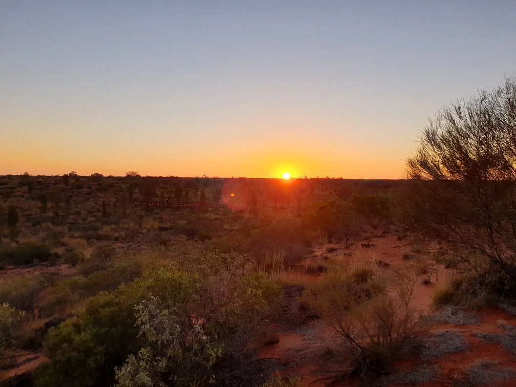 Pioneer Lookout
