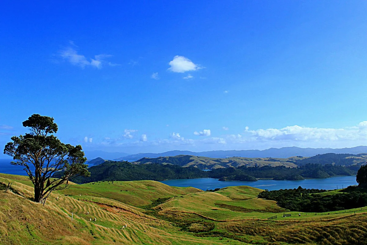 Coromandel Town Information Centre