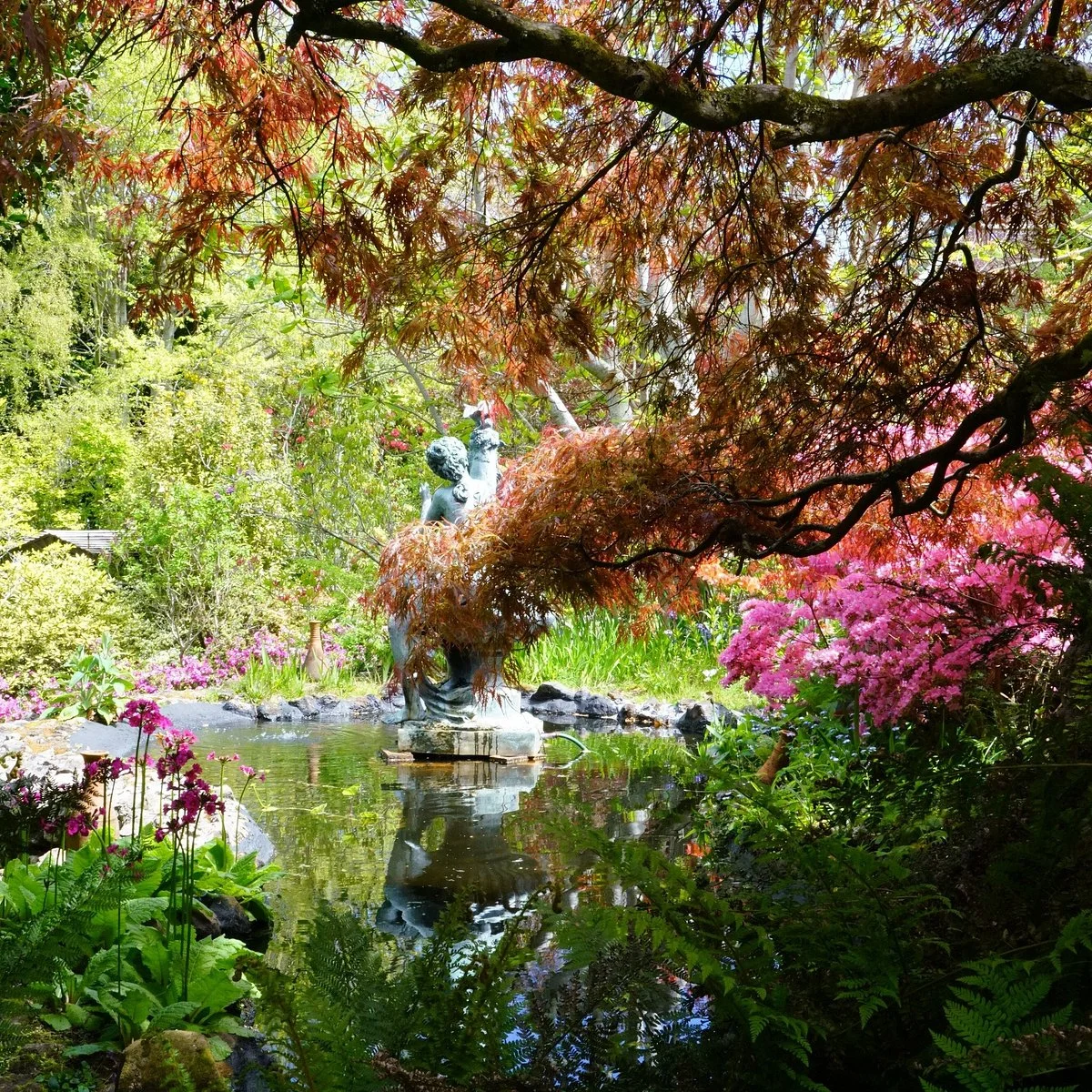 Forest Glade Gardens