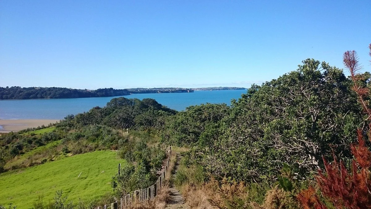 Okura Bush Walkway