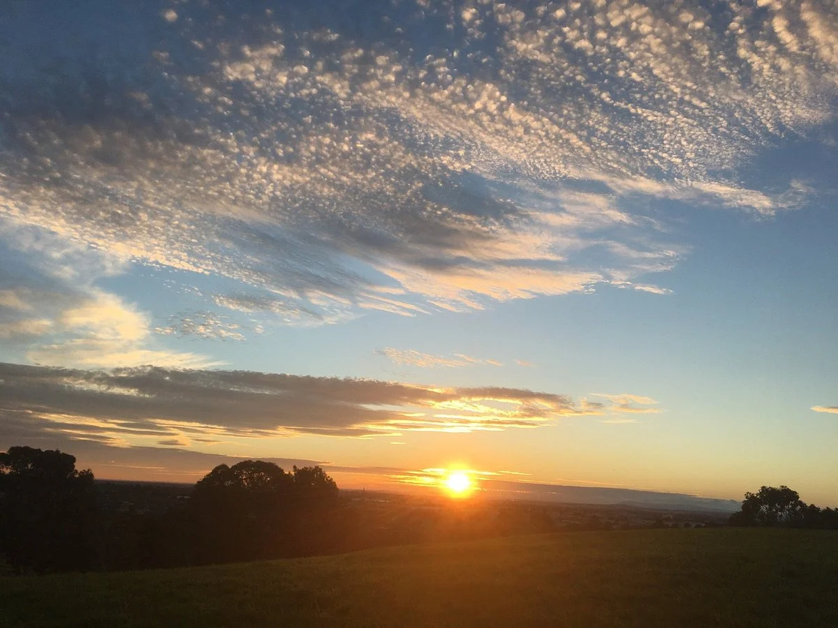 Bundoora Park
