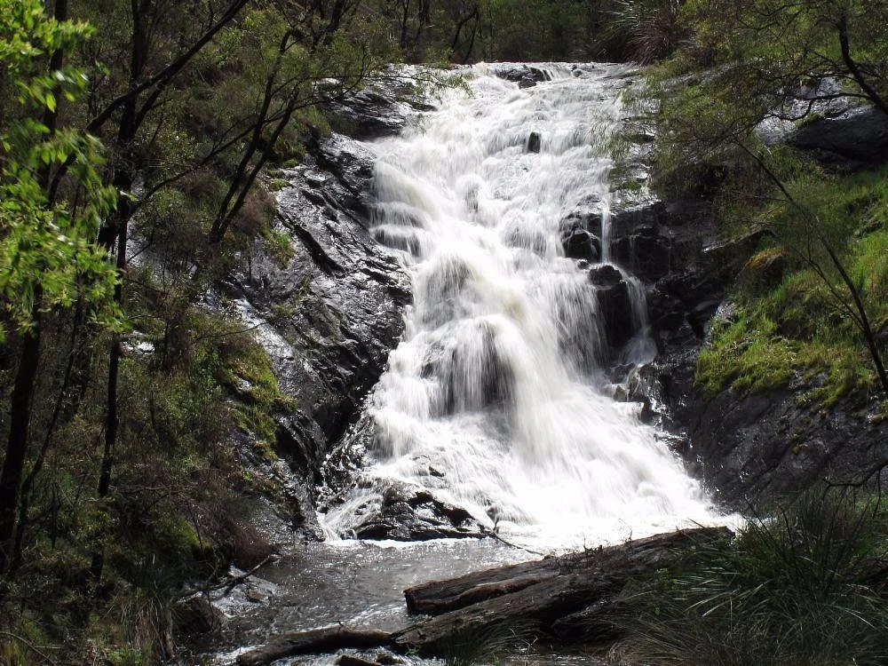 Beedelup National Park