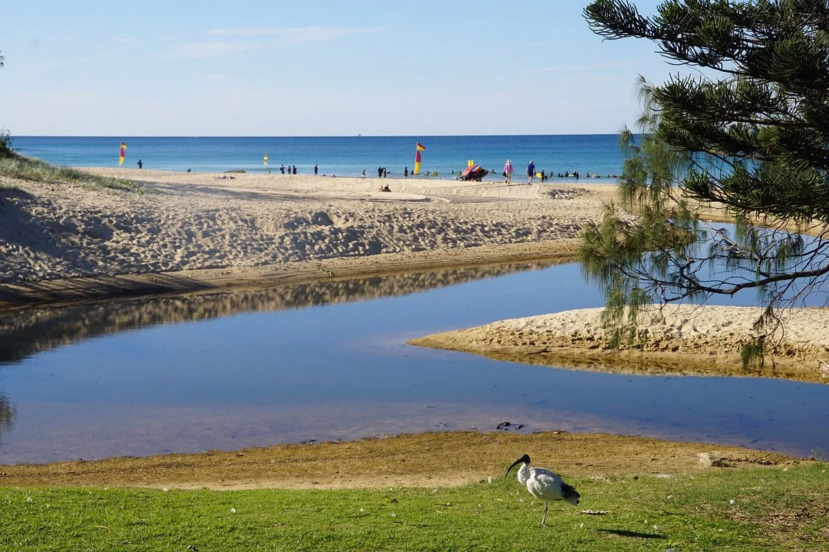 Dicky Beach