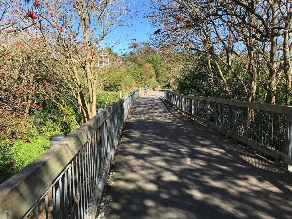Fernleigh Track