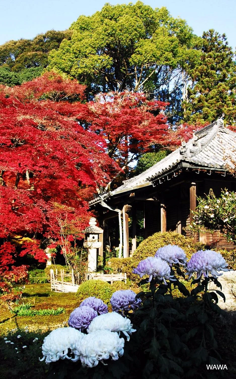 Daimon-ji Temple