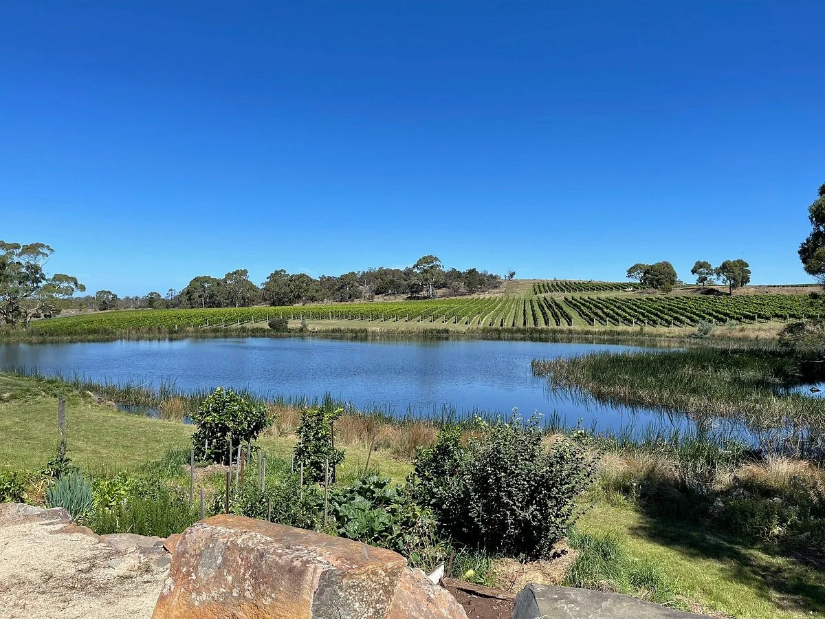Milton Vineyard