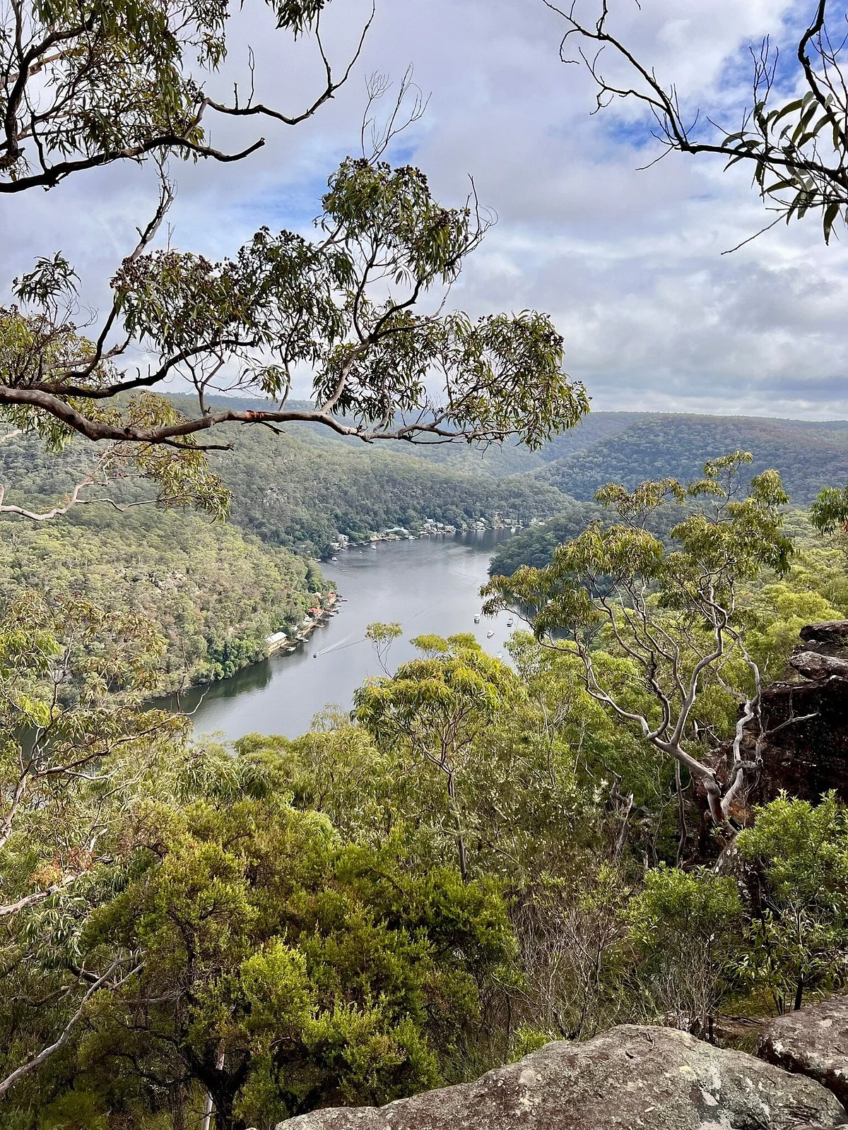 Berowra Valley National Park