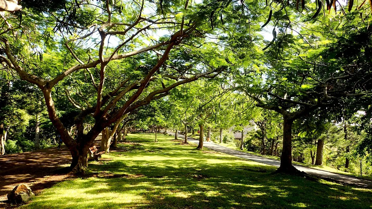 Parc zoologique et forestier