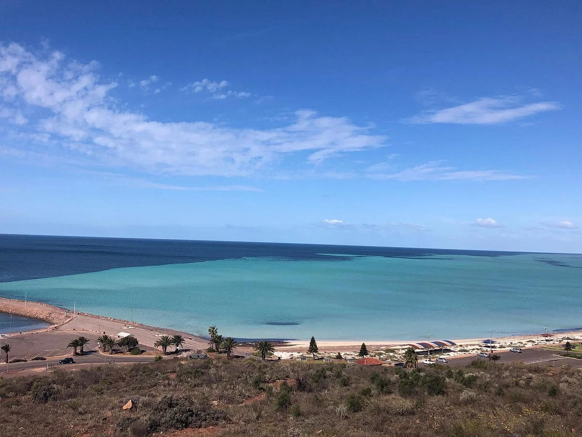 Hummock Hill Lookout