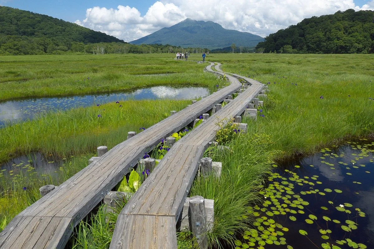 Oze National Park