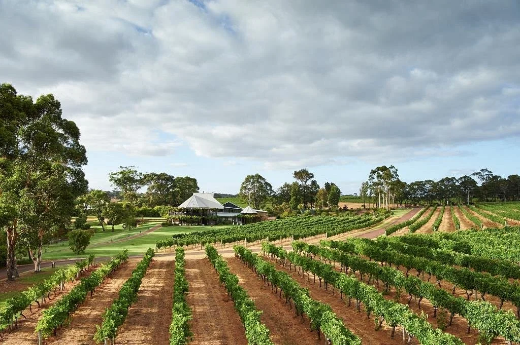 Vasse Felix Winery