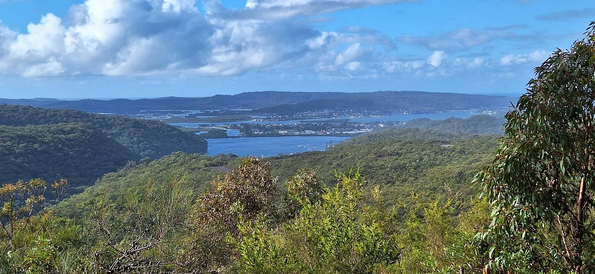 Staples Lookout