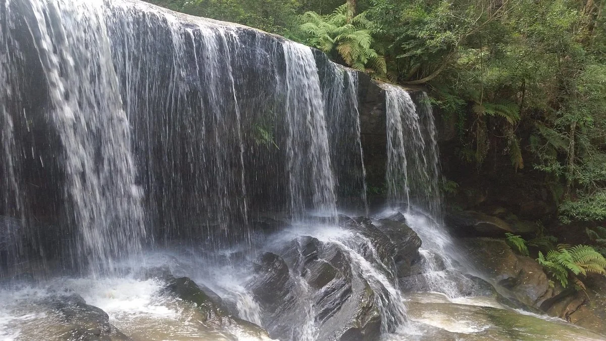 Somersby Falls Picnic Grounds