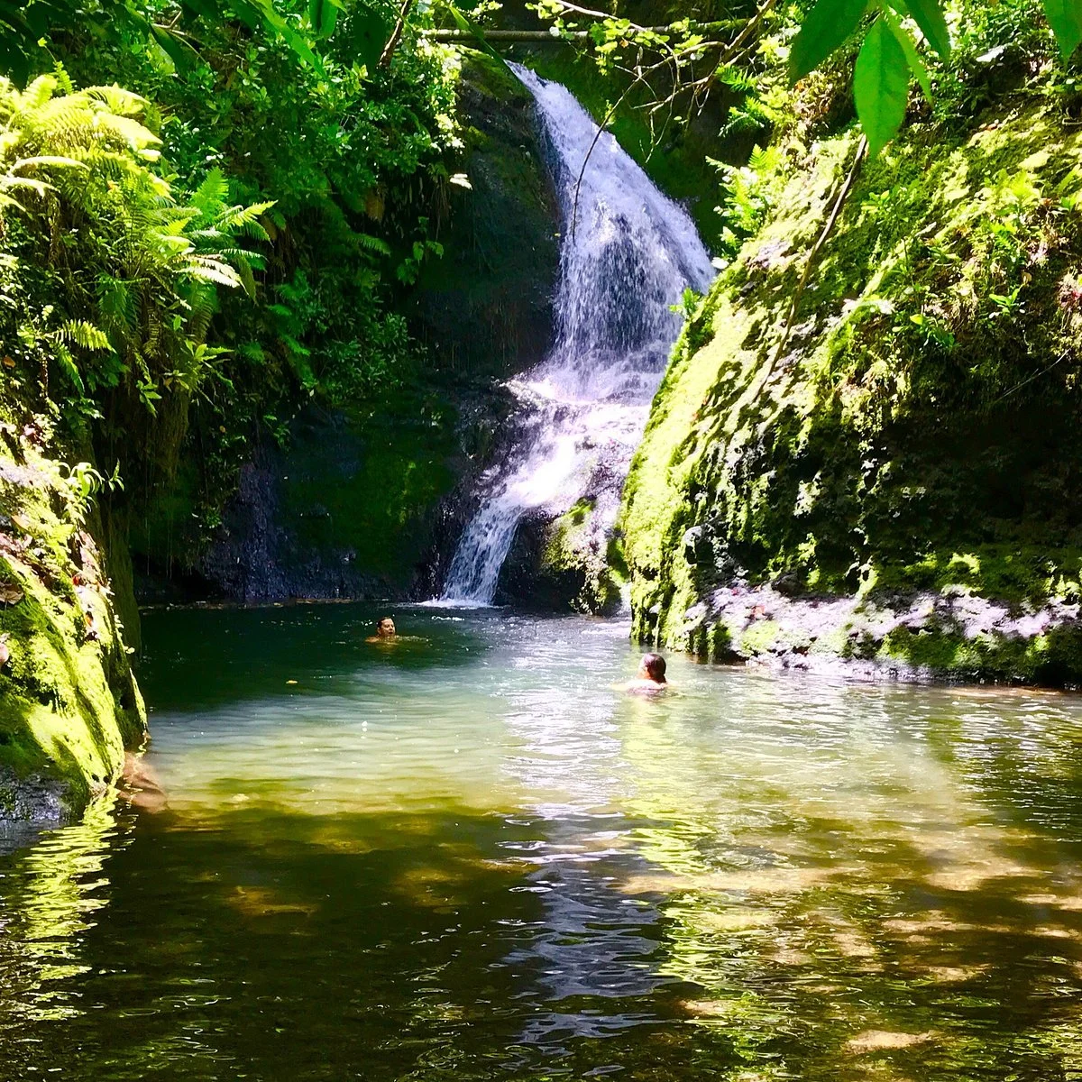 Papua ( Wigmore's) Waterfall