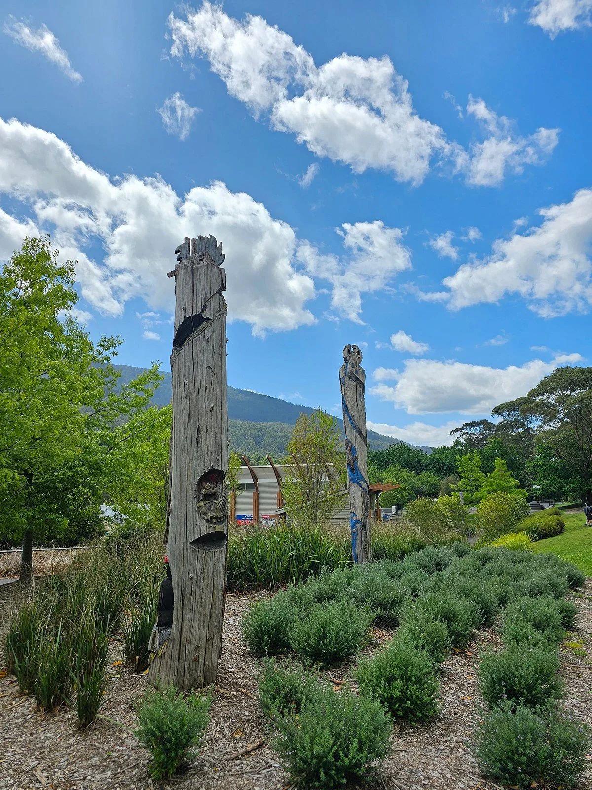 Lilydale to Warburton Rail Trail