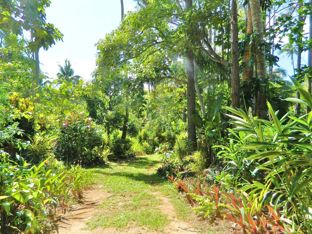 Ene'io Botanical Garden