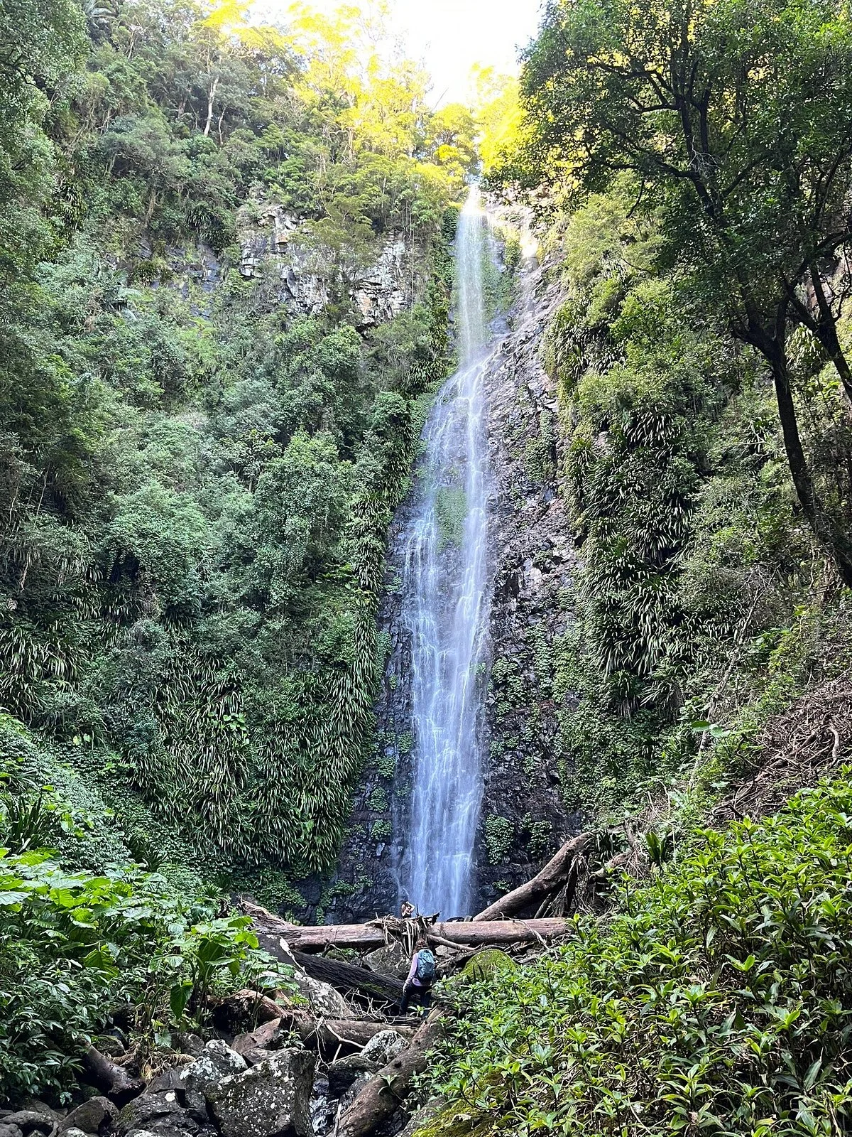 Lamington National Park