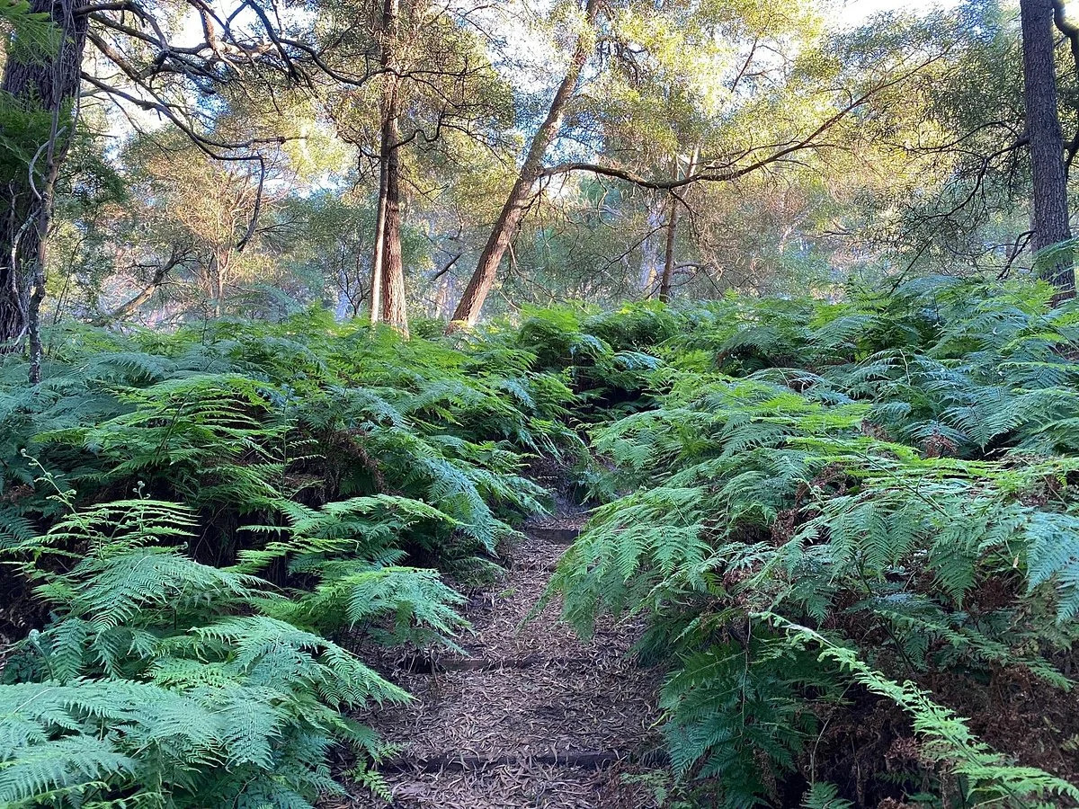 Greens Bush