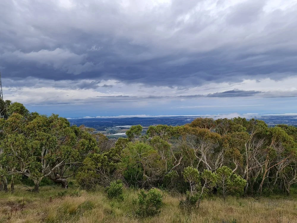 Mount Canobolas State Conservation Area