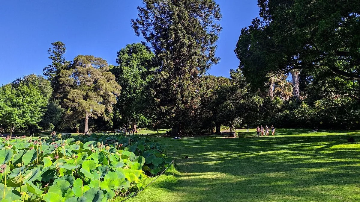 Botanic Park