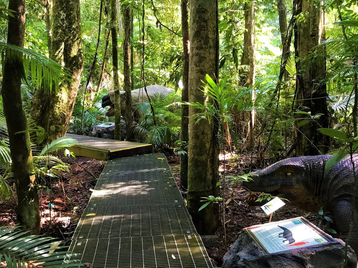 Daintree Discovery Centre