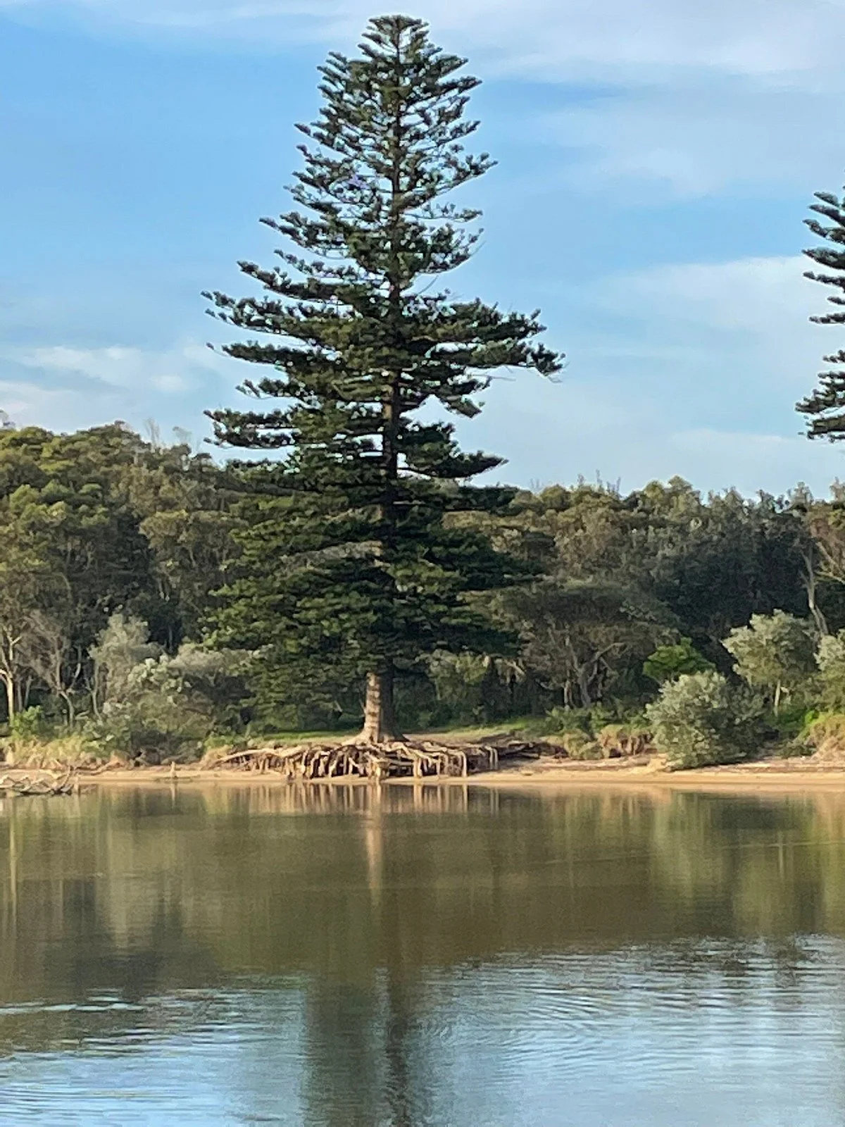 Stuart Park